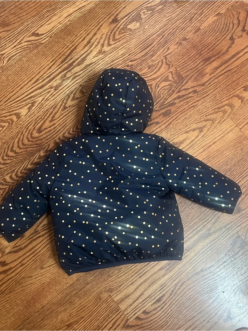 Baby gap Navy Polka Dot Hooded Jacket